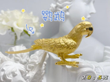 3DHGS_IP, COL, AML, XM, 20.5g, 26, 209, PLN